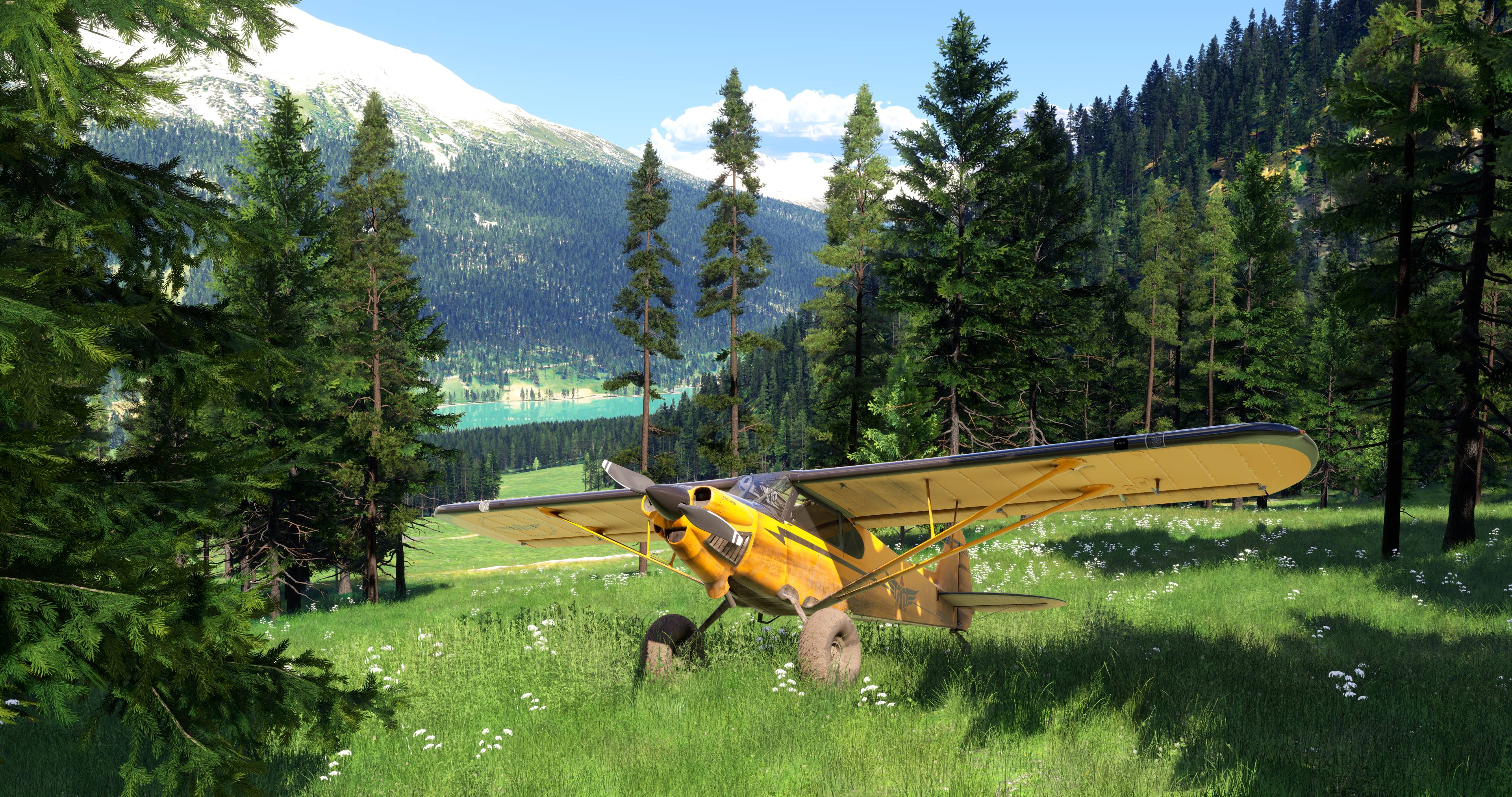 Microsoft Flight Simulator 2024 - Imagen 14
